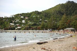 People at the beach in Lower Hutt, Wellington